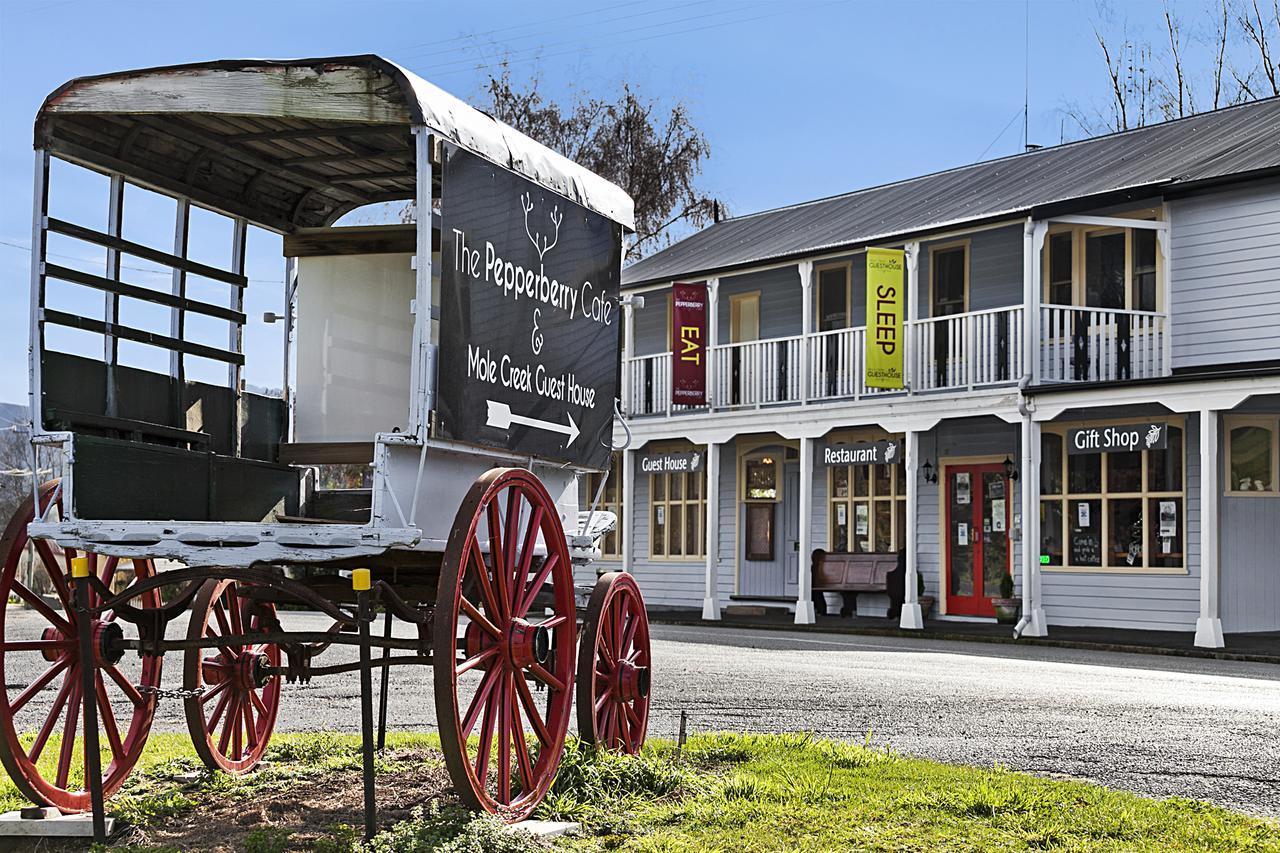 Mole Creek Guesthouse Экстерьер фото